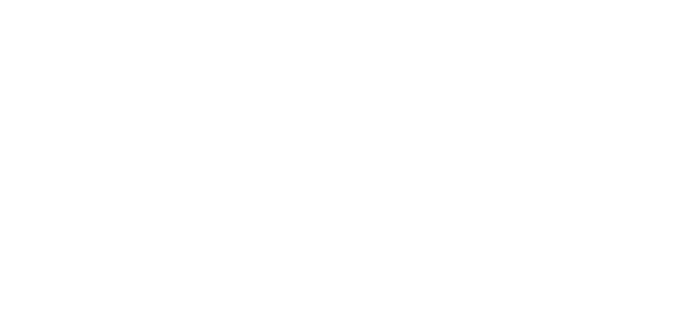 Translink Logo